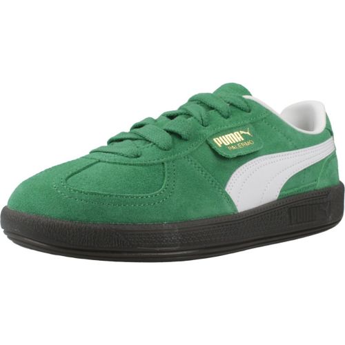 Chaussures Puma Palermo Jr Colour Vert