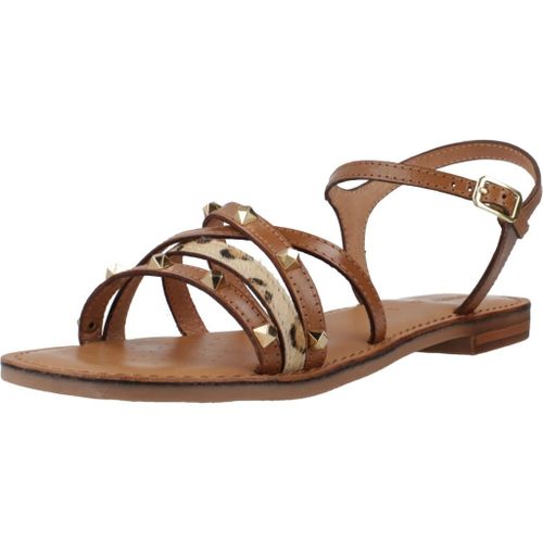 Chaussures Geox D Maddalusiac Colour Marron