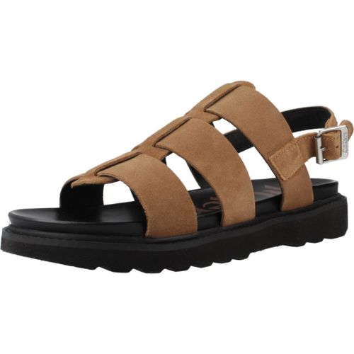 Chaussures Kickers Neosinead Colour Marron