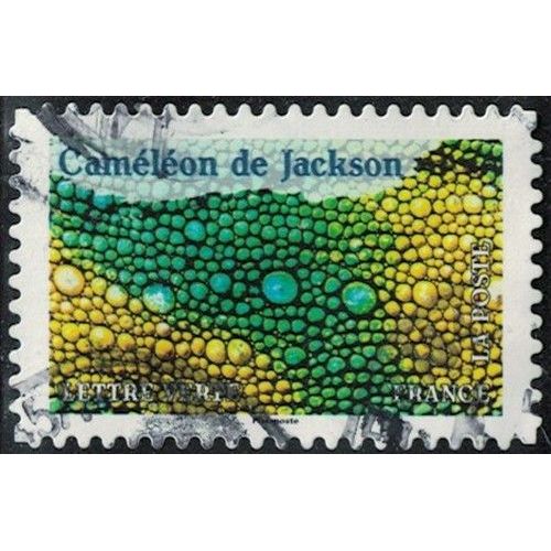 France 2024 Oblitéré Used Animaux En Couleurs Caméléon De Jackson Y&t Fr 2390 Su