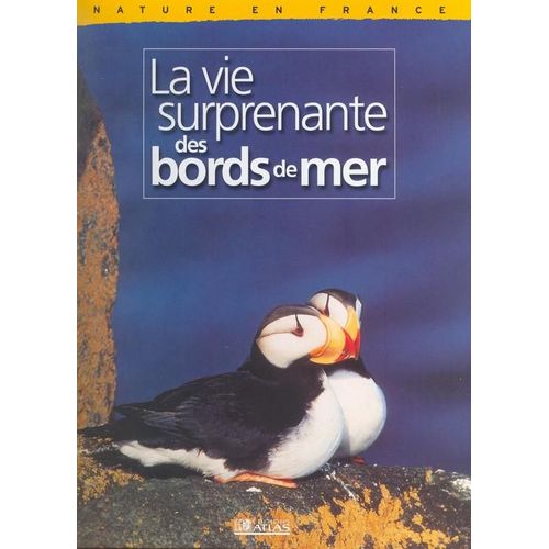 La Vie Surprenante Des Bords De Mer