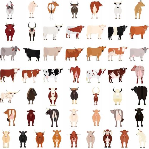 Lot de 100 autocollants pour skateboard Motif vache
