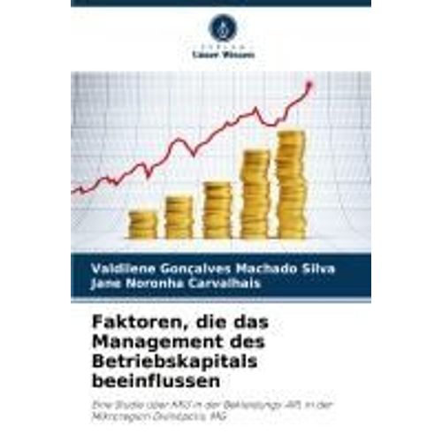 Faktoren, Die Das Management Des Betriebskapitals Beeinflussen