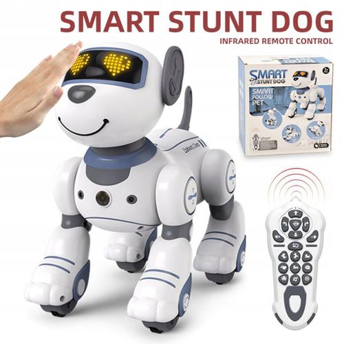 Rc Robot Chien Électronique Marche Danse Pi