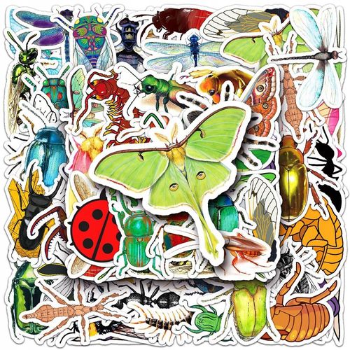 200 pcs autocollants d'insectes de dessin animé animaux graffiti Autocollants de sport pour enfants, autocollants de sport pour bouteilles d'eau, autocollants de bouteilles d'eau imperméable