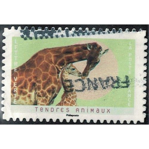 France 2023 Oblitéré Used Tendres Animaux Girafes Y&t Fr 2248 Su
