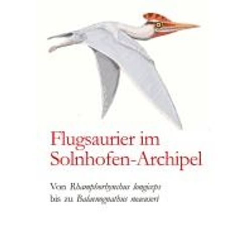 Flugsaurier Im Solnhofen-Archipel