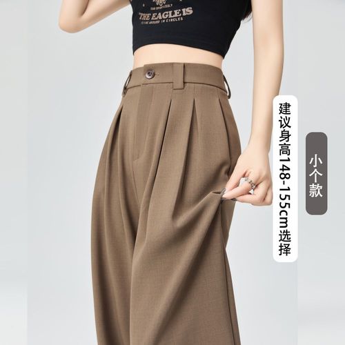 Pantalon Large Pour Femme Au Printemps Et En Été, Pantalon Décontracté Drapé À Tube Droit, Design Ample, Pantalon De Costume Plissé