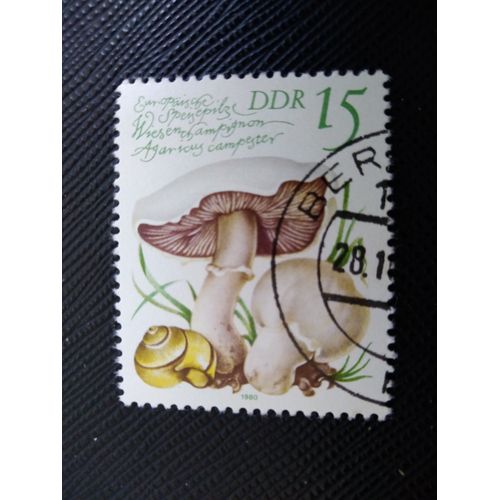 Timbre Allemagne / Rda Yt 2212 Agaricus Campestris 1980 (050209 )
