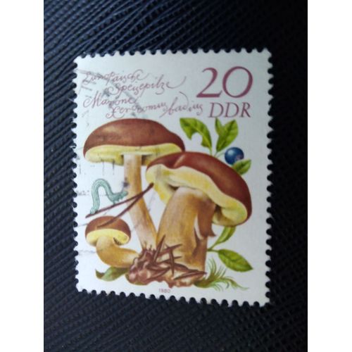Timbre Allemagne / Rda Yt 2213 Châtaignier (Xerocomus Badius) 1980 (050209 )