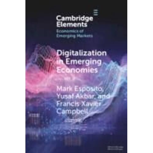 Digitalization In Emerging Economies