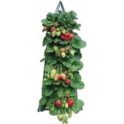 1 Pieces De Fraises De Jardin Verticales Suspendues