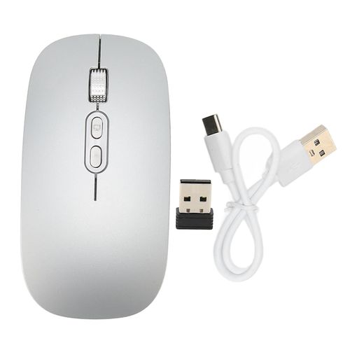 Souris Bluetooth Silencieux Type C Chargement 2.4G Souris Sans Fil avec Lumière Colorée pour Macbook pour Windows PC pour Téléphone Gris Argenté