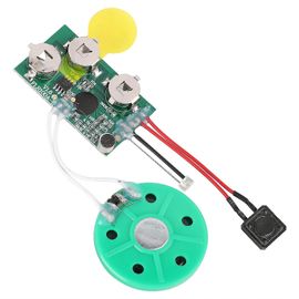 Puce De Carte De Voeux Bricolage 60 Secondes Module De Puce Sonore Vocale Enregistrable