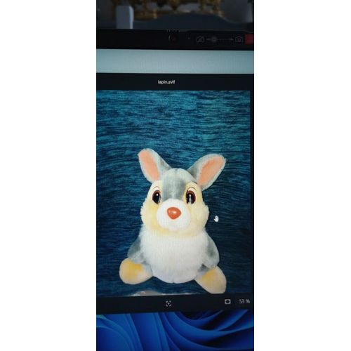 Lapin Disney Pan Pan 23 Cm .