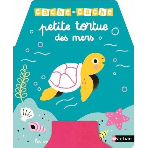 Petite Tortue Des Mers