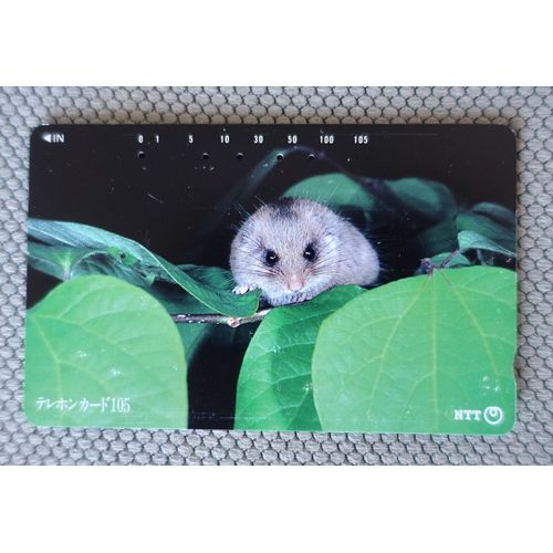 Télécarte Ancienne Japon 1993. Rongeur Hamster. 105 "231-113". Télécarte Nature. Télécarte Japonaise. Ecriture Japonaise