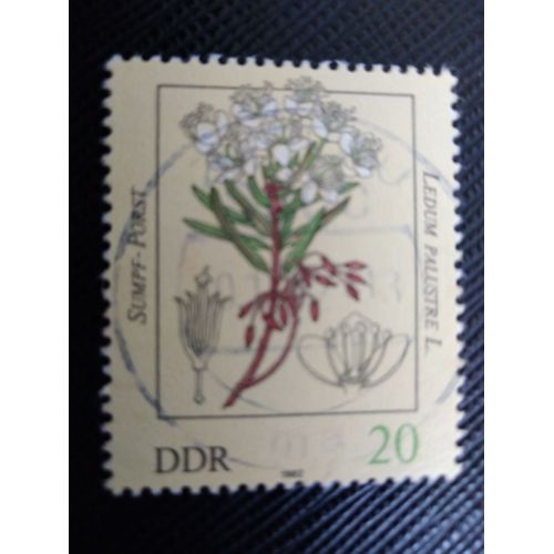 Timbre Allemagne / Rda Yt 2343 Ledum Palustre 1982 (050209 )