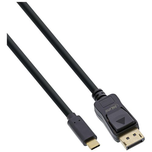 InLine - Câble DisplayPort - 24 pin USB-C (M) pour DisplayPort (M) - USB 3.1 / Thunderbolt 3 / DisplayPort 1.2 - 2 m - support 4K - noir