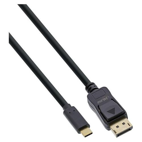 InLine - Câble DisplayPort - 24 pin USB-C (M) pour DisplayPort (M) - USB 3.1 Gen 1 / Thunderbolt 3 / DisplayPort 1.2 - 3 m - support 4K - noir
