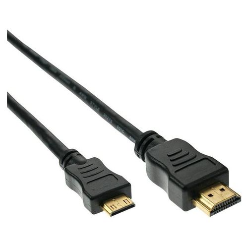 InLine - Câble HDMI - 19 pin mini HDMI Type C mâle pour HDMI mâle - 10 m - noir