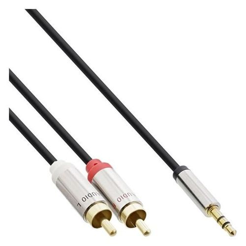 InLine - Câble audio - RCA x 2 mâle pour mini-phone stereo 3.5 mm mâle - 10 m - blindé - noir