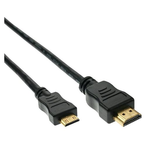 InLine High Speed - Câble HDMI - HDMI mâle pour 19 pin mini HDMI Type C mâle - 30 cm - noir - support 1080p