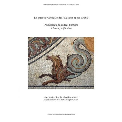 Le Quartier Antique Du Palatium Et Ses Domus - Archéologie Au Collège Lumière À Besançon (Doubs)