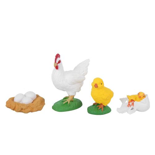 Modèle de cycle de croissance du coq Enfants Simulation miniature Animal Early Education Statue Jouet