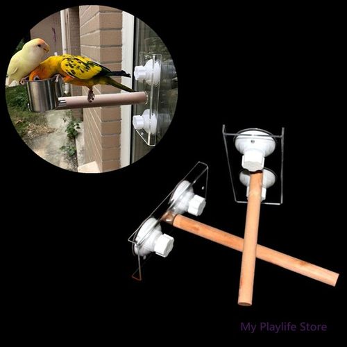 Oiseaux De Compagnie Perroquet Perchoirs Support De Jouet Support