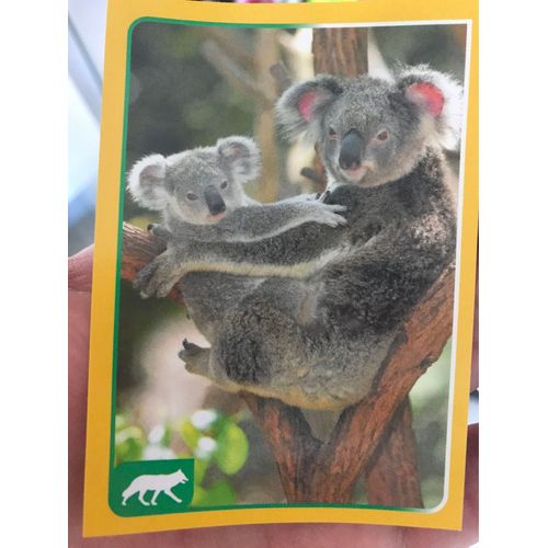 Sticker Panini Animaux 184