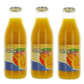 Lot 3x Nectar De Mangue - Bouteille Kg