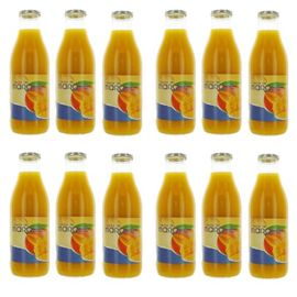 Lot 12x Nectar De Mangue - Bouteille Kg