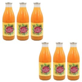 Lot 6x Nectar De Fruit De La Passion - Bouteille Kg