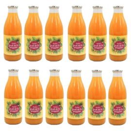 Lot 12x Nectar De Fruit De La Passion - Bouteille Kg