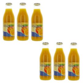 Lot 6x Nectar De Mangue - Bouteille Kg