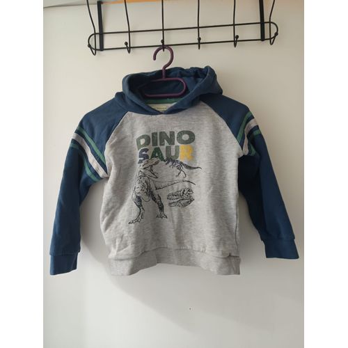 Pull À Capuche Dinosaur, 8ans, 128cm, Vertbaudet