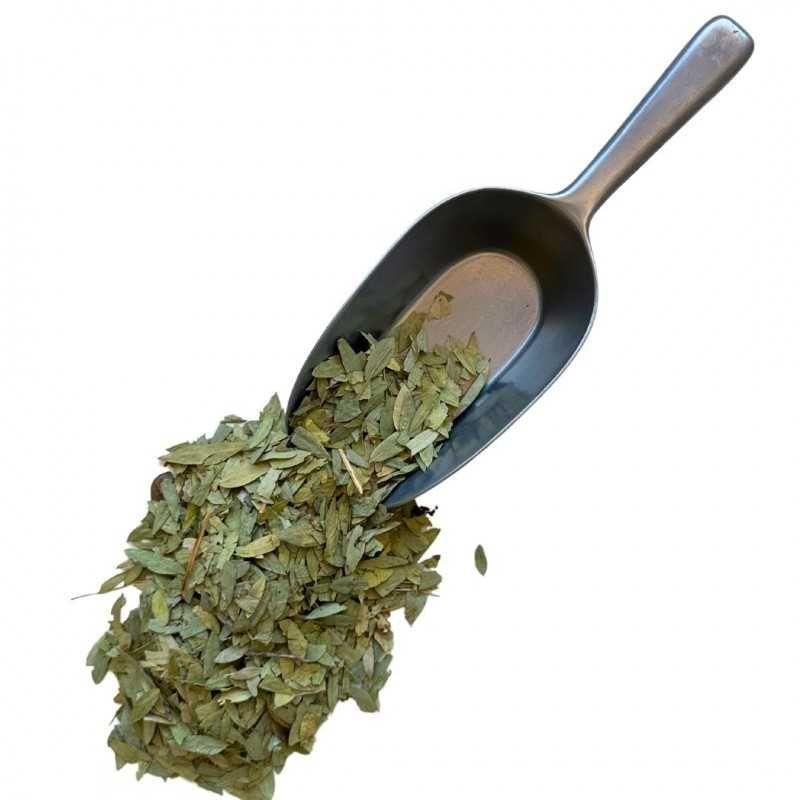 Tisane S�n� Feuille 1 Kilo Cassia Angustifolia. - 3