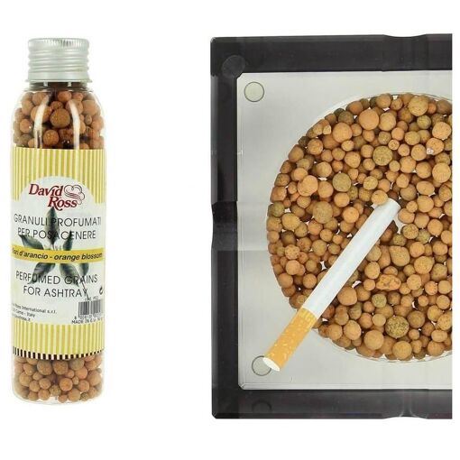 grain parfum� pour cendrier eucalyptus - 2