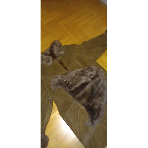 Manteau Femme