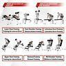 Physionics Banc De Musculation Inclinable - Avec Fixation Pour Jambes, Dos... - 6