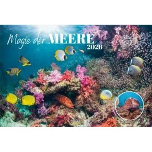 Magie Der Meere 2026