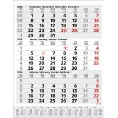 3-Monats-Planer Comfort Grau 2026