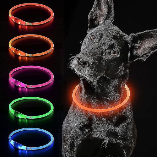 Collier Pour Chien Led Lit Collier Pour Chien Usb Rechargeable Étanche Collier Pour Animaux De Compagnie Peut Être Coupé À La Lumière Collier Pour Chien Animal De Compagnie