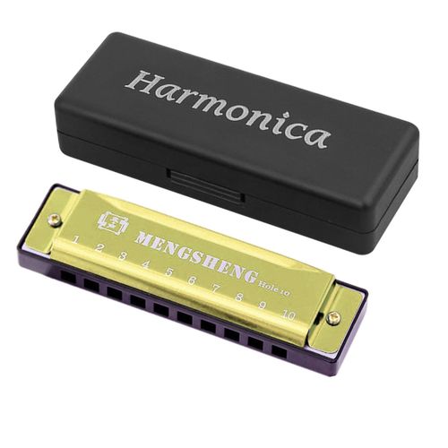 10 Trous Blues Harmonica Haute Qualité Sonore Orgue Puzzle Instrument De Musique Pour Enfant