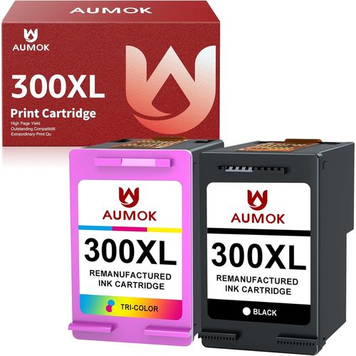 Remanufacturées Cartouche Con HP 300 300 XL Cartouche d'encre Compatible Con HP Envy 100 110 120, DeskJet F4280 F4580 F2420 F2480 D1660 D2660 F4210 PhotoSmart C4680 C4780 (1 Noir, 1 Couleur)