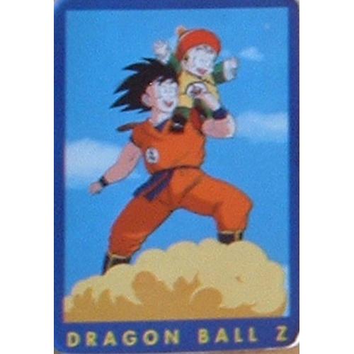 Carte Dragon Ball Z Serie 1 N°9 Sangoku Et Sangohan