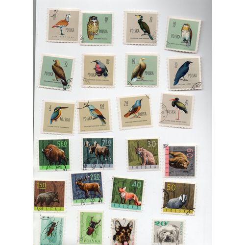 Divers Pays (Pologne- Roumanie)- Lot De 41 Timbres Oblitérés- Animaux Divers