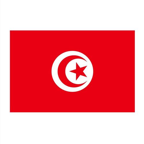 90x150 Cm Drapeaux Décoratifs Tunisie Feel Pour La Maison, Bannières, 90x150cm Drapeau Haute Qualité ""Nipseyteko""