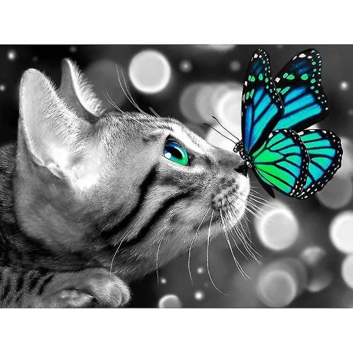 Cat Diamond Peinture Papillon Cat Diamond Art Mignon Animal Kitty Diamond Peinture Pour Adultes Enfants 12x16 Pouces